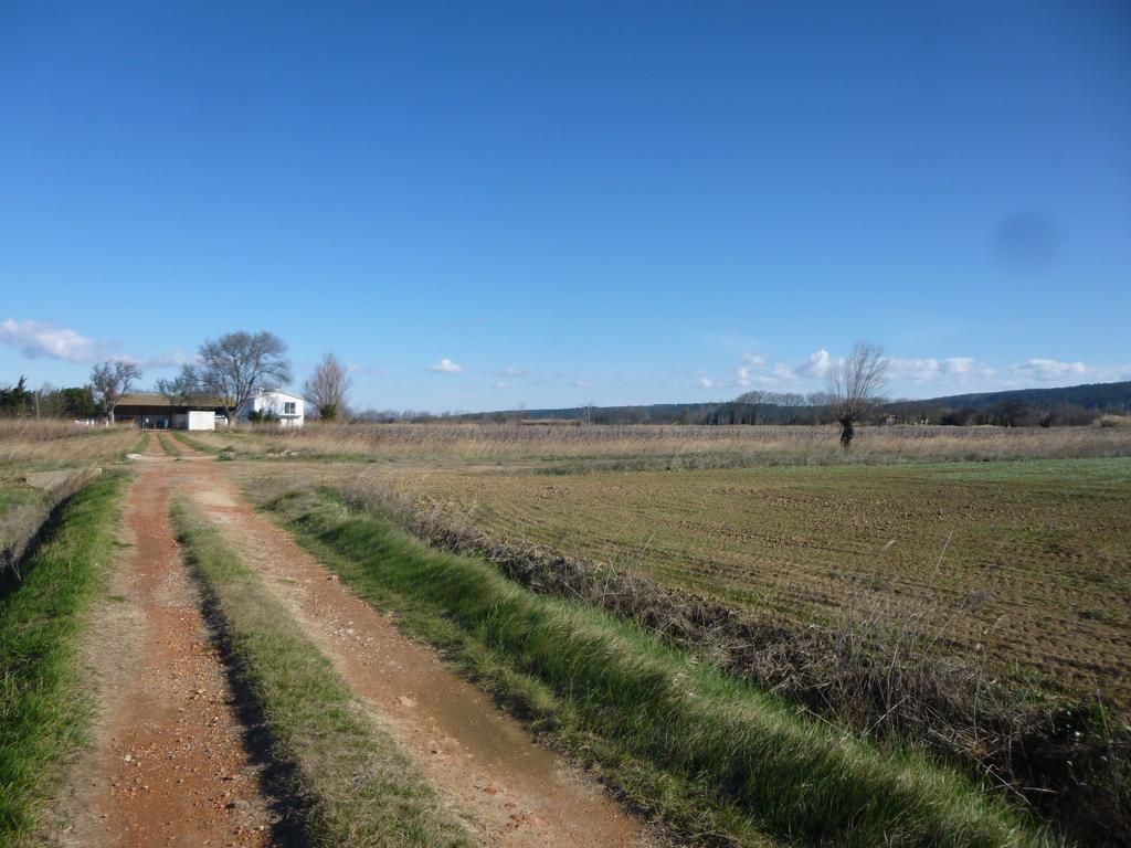 Вілла Domaine Limouzy Нарбонн Номер фото